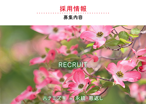 採用情報